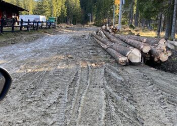 DRUMUL DIN MUNTE A FOST DISTRUS PE UNELE PORȚIUNI DE CAMIOANELE CARE CARĂ LEMNE! MESAJUL PREȘEDINTELUI CONSILIULUI JUDEȚEAN PENTRU CEI CARE SE FAC VINOVAȚI!