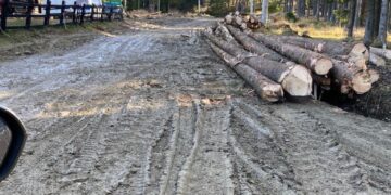 DRUMUL DIN MUNTE A FOST DISTRUS PE UNELE PORȚIUNI DE CAMIOANELE CARE CARĂ LEMNE! MESAJUL PREȘEDINTELUI CONSILIULUI JUDEȚEAN PENTRU CEI CARE SE FAC VINOVAȚI!