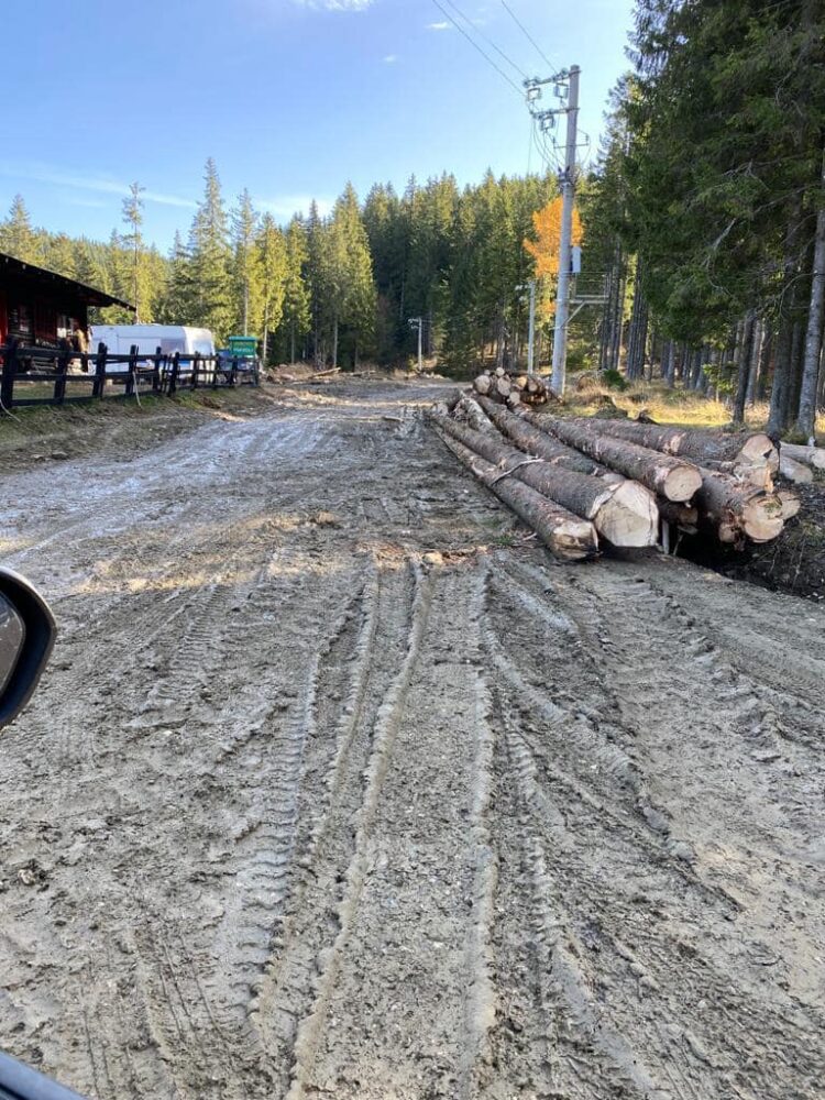 DRUMUL DIN MUNTE A FOST DISTRUS PE UNELE PORȚIUNI DE CAMIOANELE CARE CARĂ LEMNE! MESAJUL PREȘEDINTELUI CONSILIULUI JUDEȚEAN PENTRU CEI CARE SE FAC VINOVAȚI!