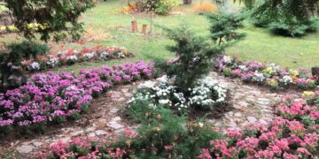 Munca în echipă, condiție obligatorie pentru  un mediu curat și sănătos!