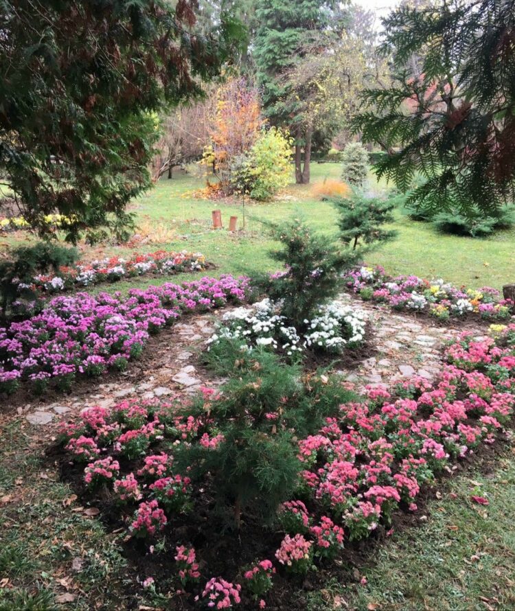 Munca în echipă, condiție obligatorie pentru  un mediu curat și sănătos!