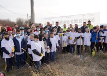 Campania „O pădure cât o țară” continuă în județul Dâmbovița
