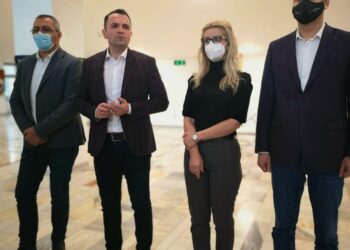Program de excepție la Cinematograful ”Independența” azi, mâine și poimâine