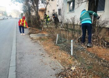 Munca în echipă, condiție obligatorie pentru  un mediu curat și sănătos!
