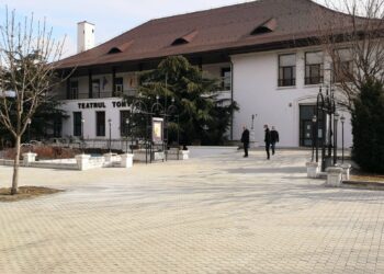 Continuă lucrările de reabilitare și pe Bulevardul Regele Carol I din municipiul Târgoviște