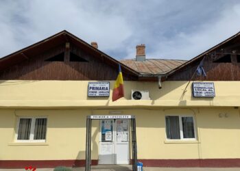 Anunț Primăria Lungulețu
