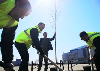 Campanie de plantare de arbori în Târgoviște!