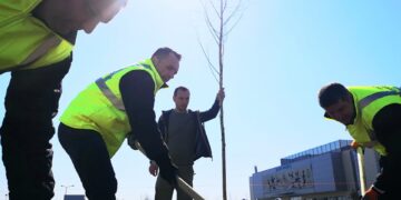 Campanie de plantare de arbori în Târgoviște!