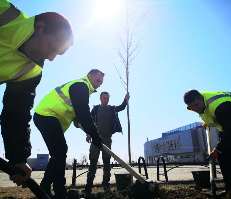 Campanie de plantare de arbori în Târgoviște!