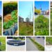 Titu primește veselia culorilor de primăvară