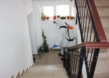 Primăria Orașului Titu: A ÎNCEPUT ACȚIUNEA DE DEZINSECȚIE ȘI DERATIZARE ÎN TOATE SCĂRILE ȘI SUBSOLURILE BLOCURILOR !