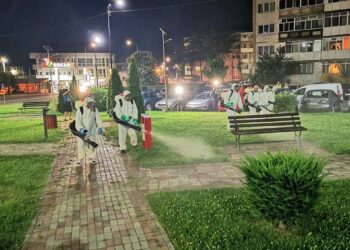 ANUNȚ PRIMĂRIA TÂRGOVIȘTE – ACȚIUNE DE DEZINSECȚIE