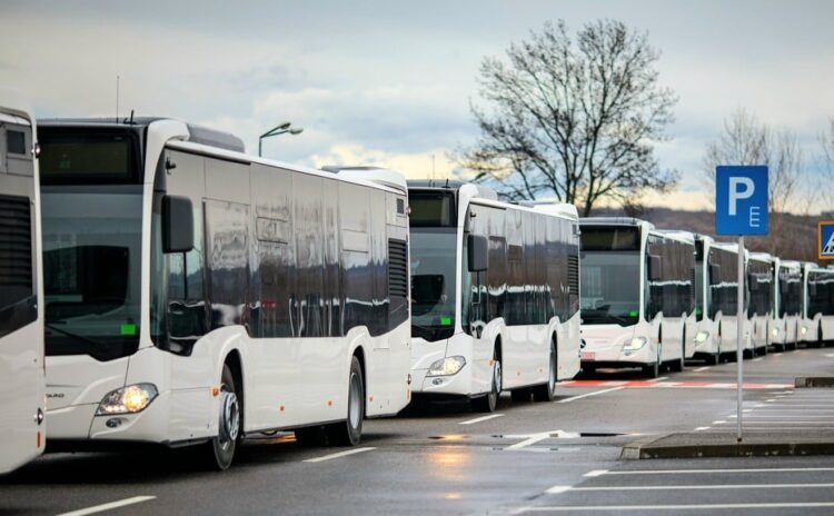 Transport local gratuit pentru elevi pe raza municipiului Târgoviște!