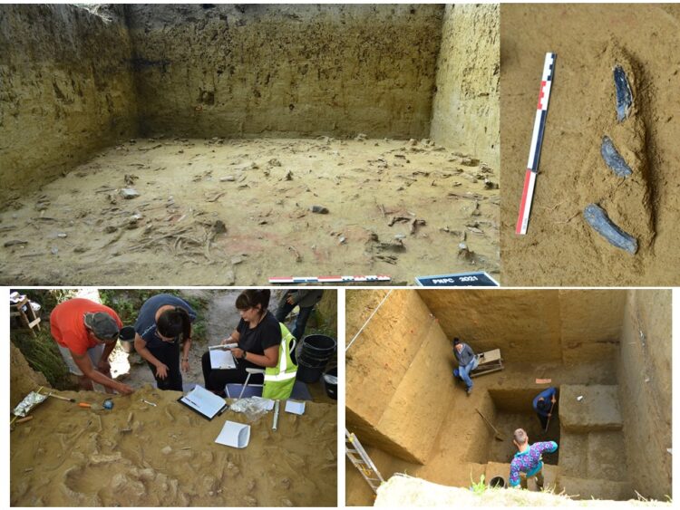 Un proiect inițiat de Complexul Național Muzeal „Curtea Domnească” Târgoviște se numără printre câștigătoarele competiției organizate de UEFISCDI