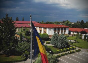 PRIMARIA TITU:informează locuitorii oraşului că, potrivit legislaţiei în vigoare, au obligaţia să ia măsuri de combatere a buruienii Ambrozia