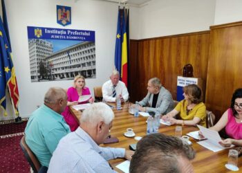 Prefectul Claudia Gilia a convocat astăzi prima întâlnire a Grupului de Lucru Mixt pentru Problemele Romilor