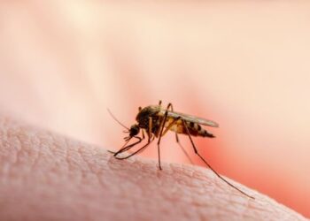 PRIMĂRIA BUTIMANU IA MĂSURI DUPĂ  CONFIRMAREA CU VIRUSUL WEST NILE DE LA CREVEDIA
