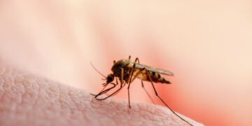 PRIMĂRIA BUTIMANU IA MĂSURI DUPĂ  CONFIRMAREA CU VIRUSUL WEST NILE DE LA CREVEDIA