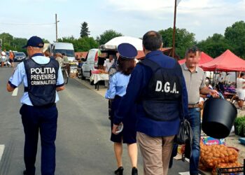Acțiune stradală pentru siguranța cetățenilor desfășurată de jandarmi, polițiști și ofițeri anticorupție în târgul săptămânal din Potlogi