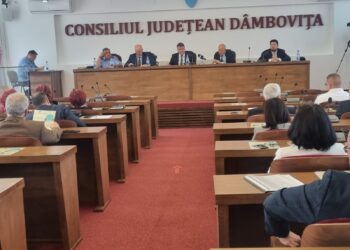 INSTITUȚIA PREFCTULUI -COMUNICAT DE PRESĂ