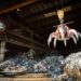 AFV BELTRAME GROUP prezintă CHALIBRIA – primul oțel certificat al grupului, neutru din punct de vedere al emisiilor de dioxid de carbon