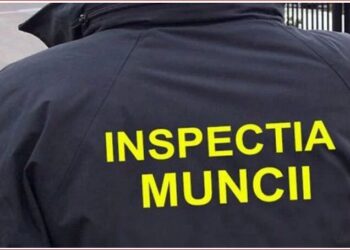 Inspectoratul Teritorial de Muncă Dâmbovița a desfășurat acţiuni de control ce au vizat transportatorii rutieri