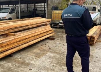 Polițiștii din cadrul Serviciului Ordine Publică au desfășurat o acțiune pentru prevenirea și combaterea delictelor silvice