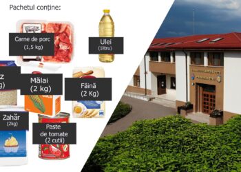 Pachete cu alimente de bază pentru persoanele cu probleme de sănătate și venituri mici din Titu