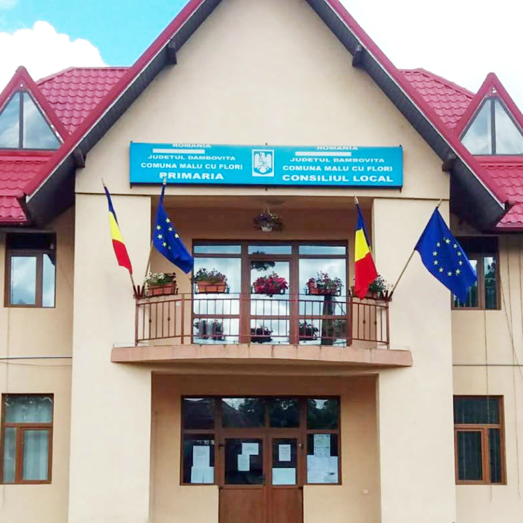 Vești bune pentru dâmbovițeni! „Reabilitarea și modernizarea DJ 724 Malu cu Flori – Pucheni” a intrat în faza de licitație!