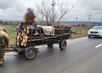Barbat din comuna Crângurile prins pe drumurile publice cu material lemnos