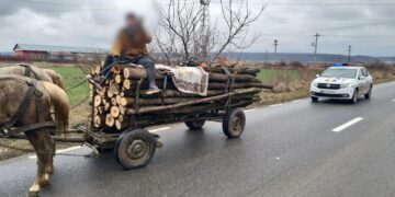 Barbat din comuna Crângurile prins pe drumurile publice cu material lemnos