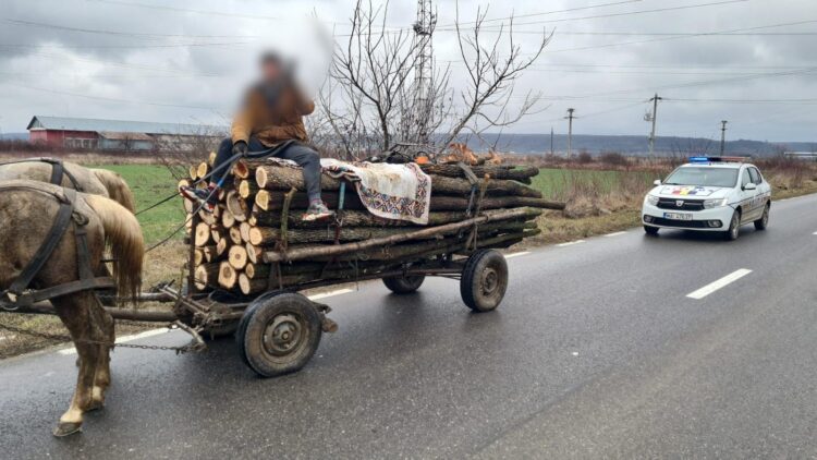 Barbat din comuna Crângurile prins pe drumurile publice cu material lemnos