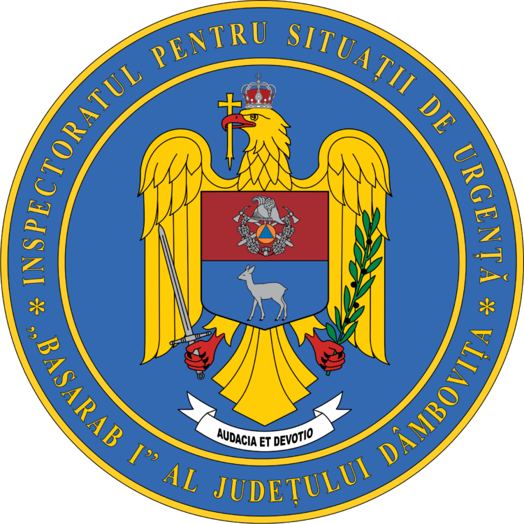 Misiunile pompierilor în perioada 26 decembrie 2022 – 1 ianuarie 2023