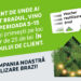 Românii pot aduce bradul uscat în magazinele Leroy Merlin, indiferent de unde l-au achiziționat și vor beneficia de un voucher de cumpărături