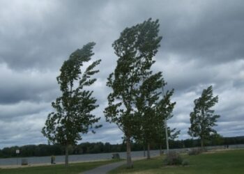 METEOROLOGII AU EMIS AVERTIZĂRI DE VÂNT PUTERNIC PENTRU JUDEȚUL DÂMBOVIȚA
