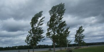 METEOROLOGII AU EMIS AVERTIZĂRI DE VÂNT PUTERNIC PENTRU JUDEȚUL DÂMBOVIȚA