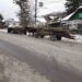 Doi bărbați din Glod au fost depistați în timp ce transportau material lemnos, fără a deține documente legale de proveniență