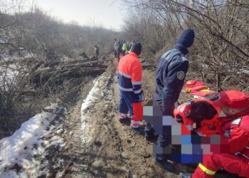 Intervenție în cazul unui eveniment produs ca urmare a răsturnarii unui atelaj hipo in orașul Găești, sat Arsuri