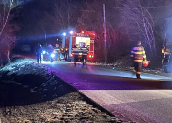Video- Incendiu pe DJ712B. Pompierii au intervenit cu două autospeciale