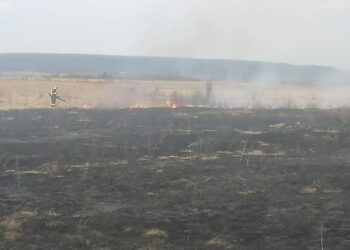 Incendiu de vegetație uscată în comuna Crângurile