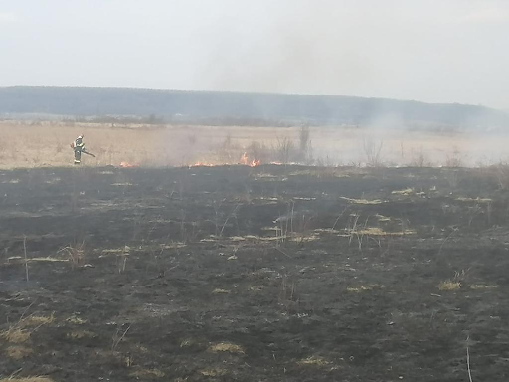 Incendiu de vegetație uscată în comuna Crângurile