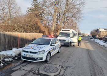 Sofer de microbuz prins băut la volan