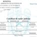 Certificatul de cazier judiciar poate fi obținut online începând de astăzi