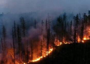 Au început incendiile de vegetație