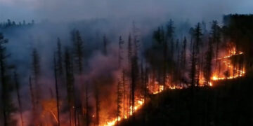 Au început incendiile de vegetație