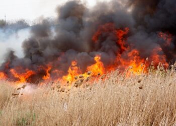 Intervenție în cazul unui incendiu de vegetație uscată în localitățile Ocnița și Ludești