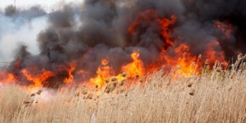 Intervenție în cazul unui incendiu de vegetație uscată în localitățile Ocnița și Ludești