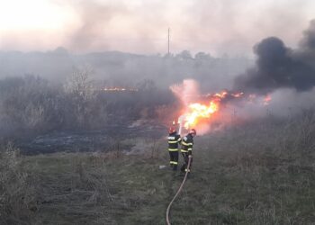 Incendiu de vegetație uscată în localitatea Vulcana Pandele