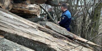 Sancțiuni contravenționale aplicate de polițiștii din cadrul Serviciului de Ordine Publică unei societăți din comuna Braniștea