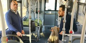 Investițiile substanțiale în transportul public local târgoviștean încep să își arate roadele